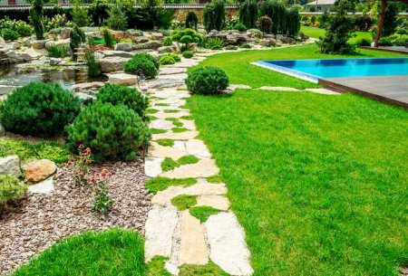 Сад который создается сразу title=